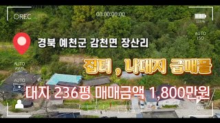 [재업로드] 매물번호 : 281 / #급매 예천군 감천면 장산리 / 대지 236평 1,800만원에 매도합니다.