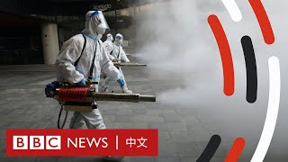 新冠疫情懶人包：為何中國仍在堅持「清零」政策？－ BBC News 中文