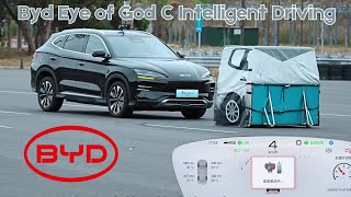 BYD Launches \