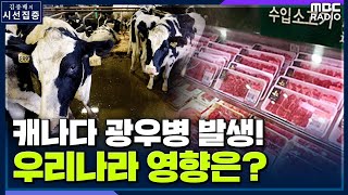 [시선집중][밥상 뉴스] 캐나다 광우병 발생, 우리 식탁에 미치는 영향은? - 정은정 (농촌사회학자), MBC 211223 방송