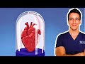 How to dodge Heart Disease, our Number 1 Killer | A Unifying Model