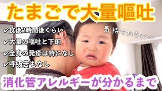 【嘔吐直前の様子】消化管アレルギーが分かるまで【お薬飲めたね】