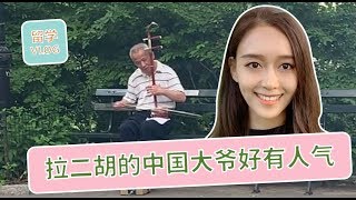 中央公园偶遇中国大爷拉二胡，美国人都漠然走过，学姐过去给了10美元，异乡国人