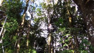 Tree Top Canopy Tour, El Establo Mountain Resort, Monteverde, Costa Rica