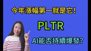 84今年漲幅第一就是它Palantir（PLTR）政府訂單與商用業務並駕齊驅，大數據分析和AI智能能否持續爆發？