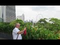 Singapore, An Evening Walk @ Gardens by the Bay, Bay South Views, 31 October 2024