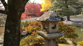 京都仙洞御所、紅葉。 The Autumn Leaves of Kyoto Sento Imperial Palace 2024.12.03