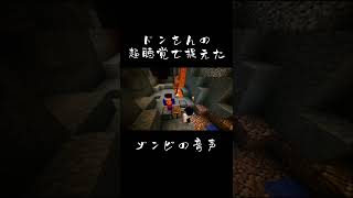 ［マイクラ］ドンさんの聴覚が覚醒しました【三人称切り抜き】#shorts