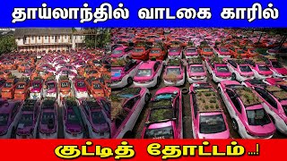 தாய்லாந்தில் வாடகை காரில் குட்டித் தோட்டம் பரிதாப செய்தி வைரல்...!