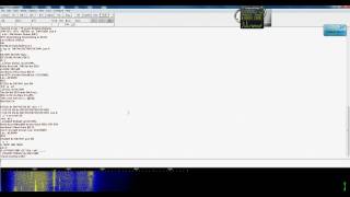 digipan first try.avi