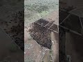 corral drone time lapse at the ranch