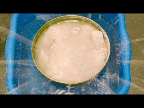 What Lime makes hissing sound?