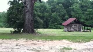 Home and 80acres Florala AL. United Country Fulford Realty