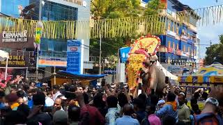 നൈതലക്കാവിലമ്മയെ തിടമ്പേറ്റി തെച്ചിക്കോട്ടുകാവ് രാമചന്ദ്രൻ #chettikulangarakuttikal #thrissur