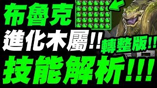 【神魔之塔】木屬布魯克！『整版龍族強化！』競技場免費卡、新蜜兒技能解析！『角龍盤踞 ‧ 布魯克』『招財嬌貓 ‧ 蜜兒』【小許】