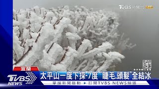 太平山「銀白」世界! 樹木霧淞.地板結冰｜TVBS新聞@TVBSNEWS01