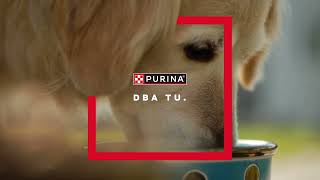 Purina dba tu i tu | Rolnictwo regeneracyjne