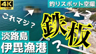 【伊毘漁港（いび）】あれ何？ここは車横付け可能で新港と旧港がある景色も抜群な釣り場。釣りスポット空撮【兵庫県 淡路島】2024年版