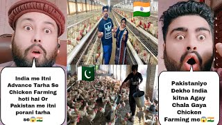 India Chicken Poultry Farm Vs Pakistan Chicken Poultry Farm | Pakistani Reaction