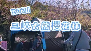 [三峽] 大熊櫻花林~北台灣的賞櫻重地