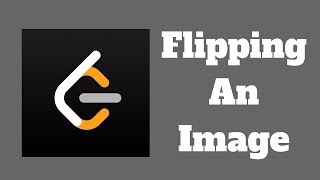 LeetCode Algorithms Easy: Flipping an Image