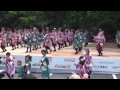 スーパーよさこい2013　早稲田大学よさこいチーム東京花火