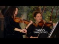 euphonica lounge orchestra string section showreel