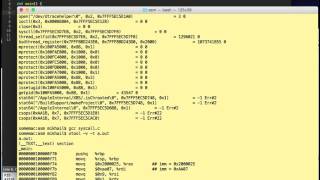 Building Shellcode