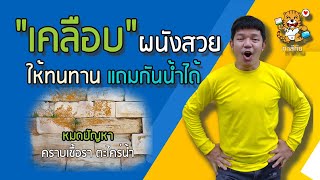 วิธีแก้ไขปัญหา ผนังตกแต่งเกิดเชื้อราตะไคร่น้ำ | Water repellent