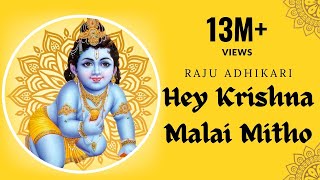 New Nepali Bhajan Kirtan - Hey krishna Malai Mitho Bamsi - Raju Adhikari - Nepali Bhajan #SRDBHAKTi