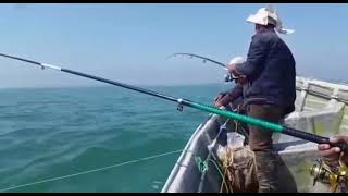 Kutum Fishing in Caspian Sea (Mahi Sefid)