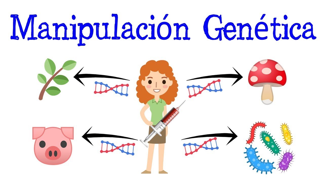 Manipulacion Genetica Transgenicos Y Clonacion - Ajore