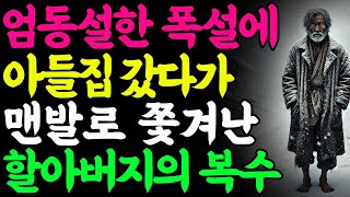 폭설이 쏟아지던 날 '맨발로' 자식집에서 쫓겨난 할아버지의 복수 노인 노년의 삶의 지혜 행복한 노후생활 부모자식갈등 사연 이야기 오디오북