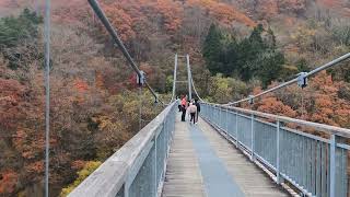 七ヶ宿　やまびこ吊り橋の紅葉