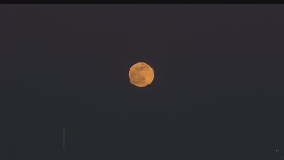 Full Pink Supermoon Brightens Up Sky Overnight