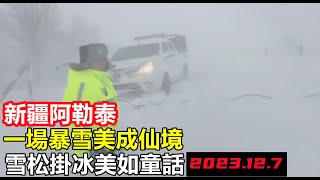 新疆阿勒泰12級風加雪，瞬間進入冰雪童話世界，局部積雪超過40公分，陷入冰封世界#新疆旅遊#新疆旅遊#新疆現狀#真實購物團#寒潮