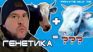 Перша згадка про генетику. Кого і ким я парую | Private Milk | Травецький