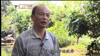 20131102《大愛全紀錄》減法的美麗新世界