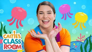 The Jellyfish | Songs from Caitie's Classroom | Dance & Movement for Kids!