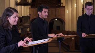 Video-Motette mit dem Calmus Ensemble // Thomaskirche zu Leipzig am 9. Mai 2020