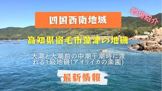 四国西南地域　釣場紹介。干潮時のみ渡れるアオリイカ釣りを楽しむことが出来る島。2023／10／27。