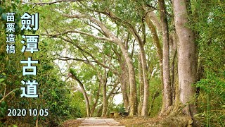 【說明欄有詳細資訊】竹林、老樹、歇後語交織而成的清幽古道 ~~ 【劍潭古道】