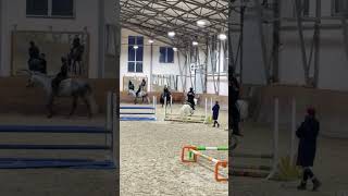 Сегодня была прекрасная тренировка 🥹 #horse #кони #лошади