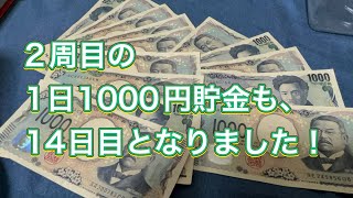 2周目の1日1000円貯金！【14回目】#貯金 #毎日チャレンジ