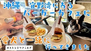 沖縄 宜野湾にあるバーガーカフェに愛犬と一緒に行ってきました 【ボストンテリア】こむぎ