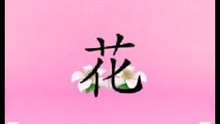 读写汉字“花”，花上面是草字头，下面像两个盛开的鲜花，完美解释象形汉字。Easy Chinese