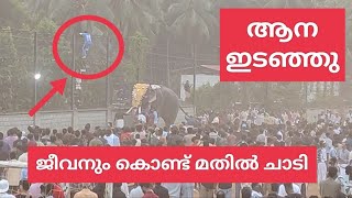 നന്തിലത്ത് ആന ഇടഞ്ഞപ്പോൾ | ഇങ്ങനെ ആനയെ തളക്കുന്നത് കണ്ടുകാണില്ല | 2024 Akkikav Paruvakkunn Fest