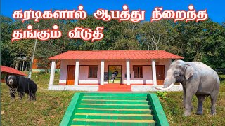 🔥🔥Hornbill Rest House, Topslip | கரடிகள் தினமும் வரும் வீடு | Jolly Trip