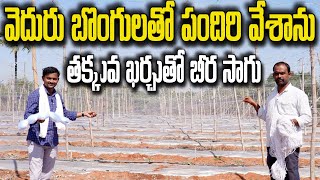 ₹40 వేల ఖర్చుతో వెదురుతో పందిరి | Bamboo Pandals