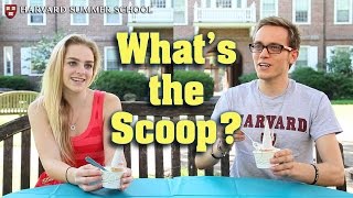 What's the Scoop? | Community at Harvard Summer School